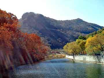 新澳天天开奖资料大全旅游团，丫头别想逃